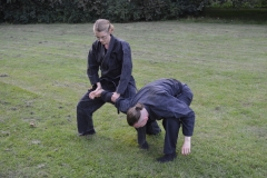 beijerspark20170802-7